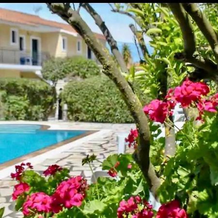 Lemon Tree Apartments B C Argostoli  Exteriör bild