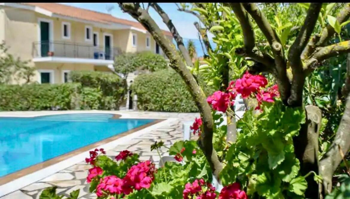 Lemon Tree Apartments B C Argostoli  Exteriör bild